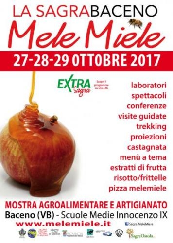 LOCA_MELEMIELE_ISTITUZ_2017-729x1024