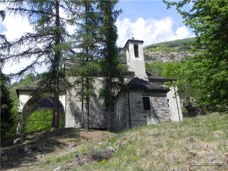Mocogna-130